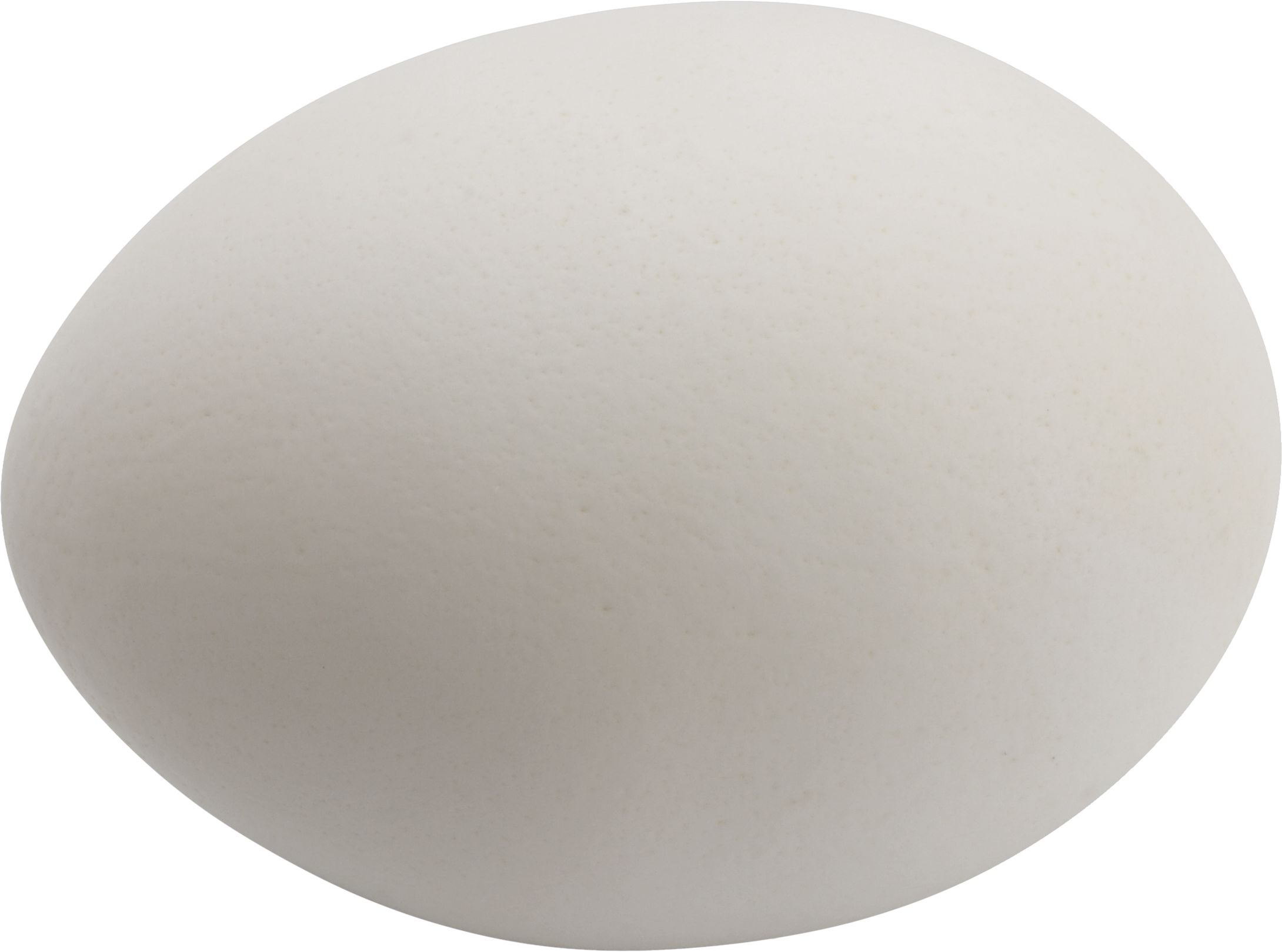 Chicken Egg - Egg Png (2180x1619), Png Download
