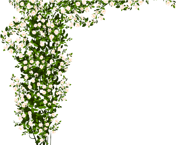 Shrub, Bushes Png Transparent Images - Transparent Pink Rose Bush Png (640x480), Png Download