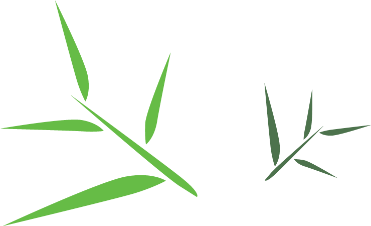 Bamboo Leaf Png Free Download - Clip Art Bamboo Leaf (955x500), Png Download