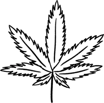 28 Collection Of Weed Drawing Png - Cannabis (354x349), Png Download