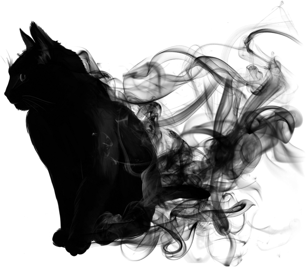 Cat Black Smoke Blacksmoke Animal Blackandwhite - Picsart After Dark Png (1024x1024), Png Download