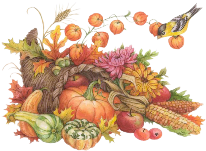 Http Mafoirfouille M A - Thanksgiving Harvest Watercolor (700x505), Png Download