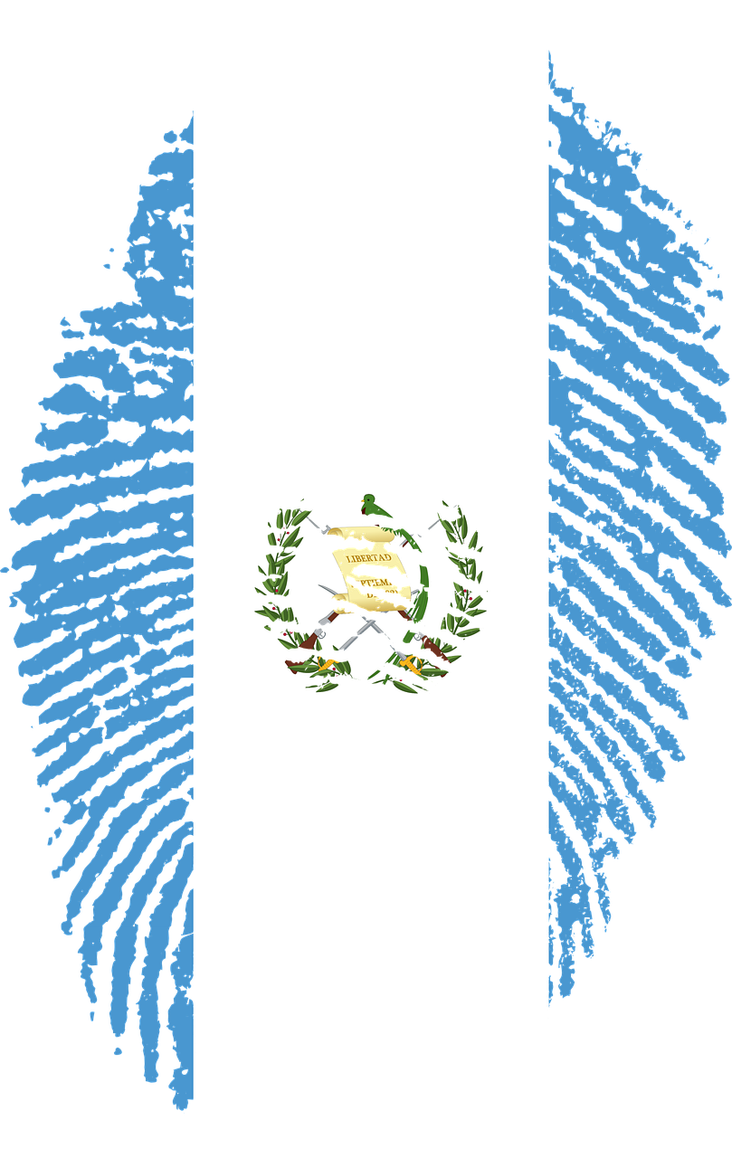 Travel, Guatemala, Flag, Fingerprint, Country - Bandeira Do Brasil Png Transparente (809x1280), Png Download