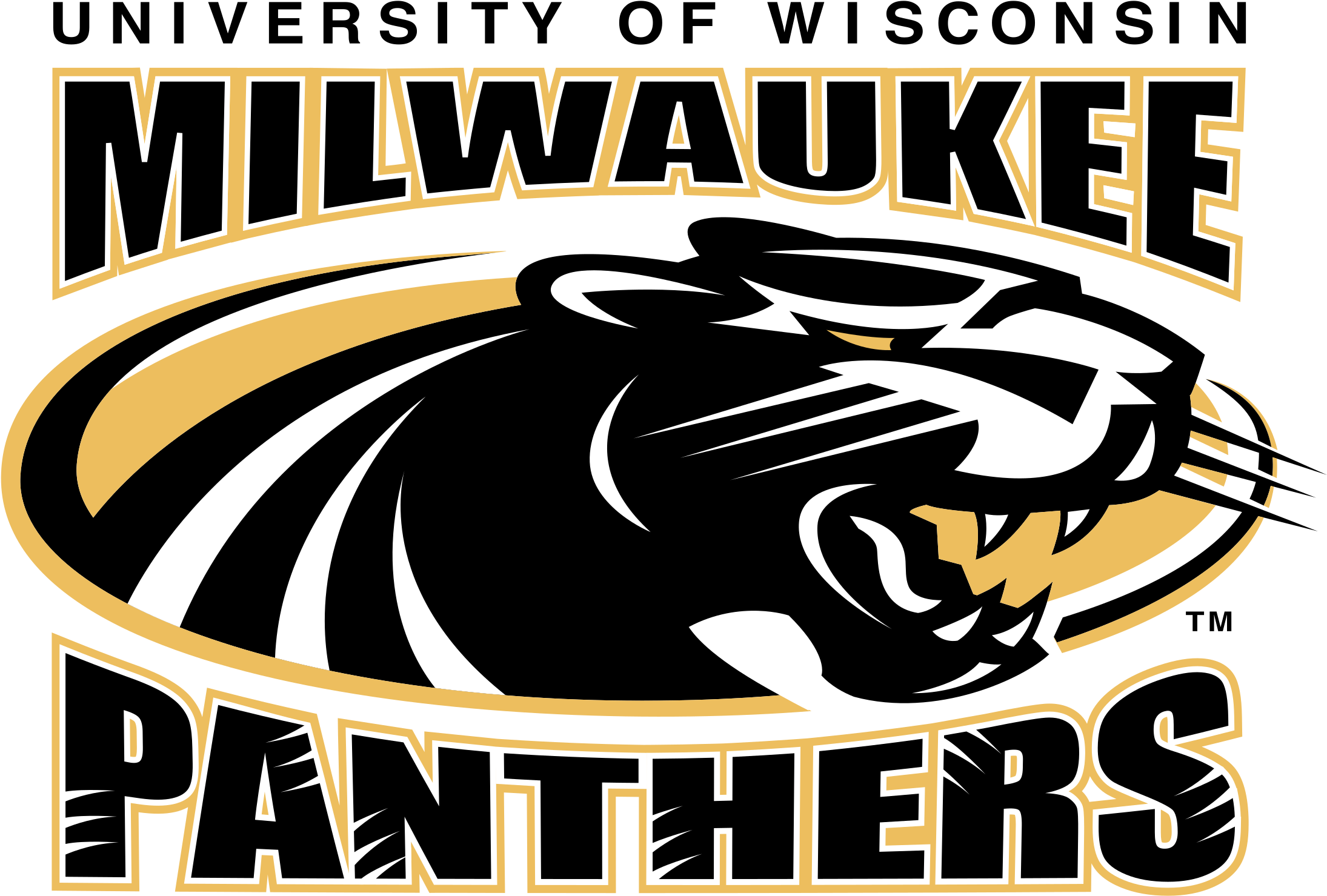Wisconsin Milwaukee Panthers Logo Png Transparent - Wisconsin Milwaukee Panthers Round Enamel Charm (2400x2400), Png Download