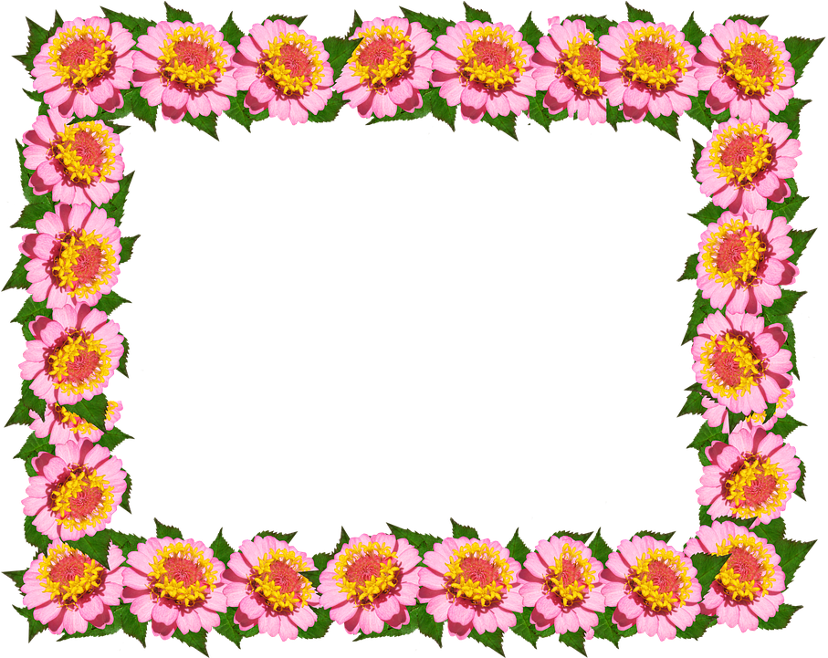Frame, Border, Pink Floral, Decoration - กรอบ แนว นอน ลาย ดอกไม้ (907x721), Png Download