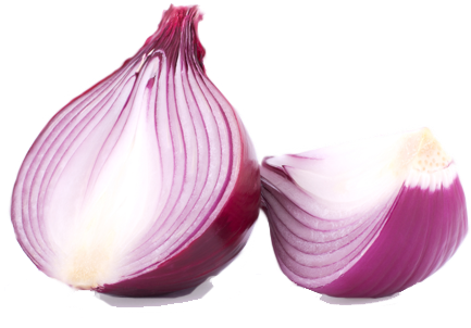 Red Onion Organic Supplier Usa - Purple Onion Png (450x350), Png Download
