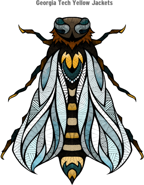 Recently I Got Asked By Espn The Magazine To Help Them - Andrena Carantonica (700x700), Png Download