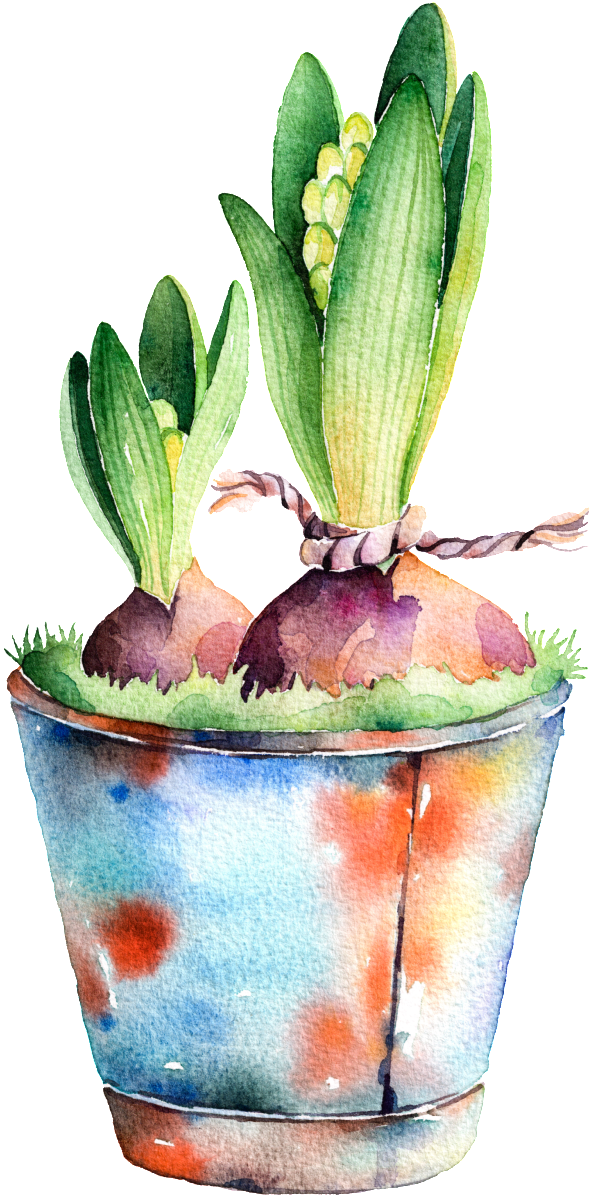 Potted Watercolor Hand Painted Transparent - Watercolor Painting (1024x1462), Png Download