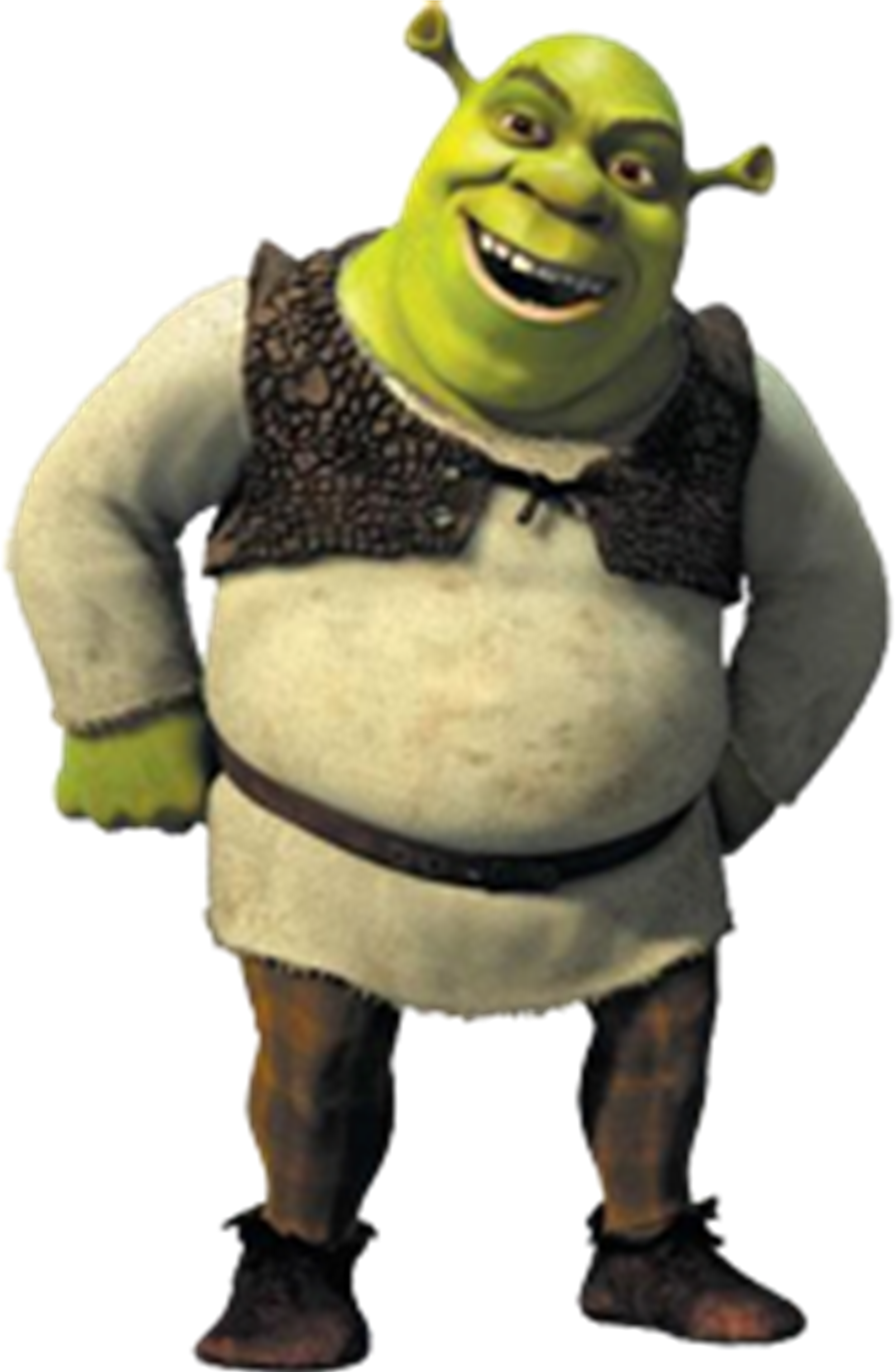 Shrek - Shrek Png (2532x3835), Png Download