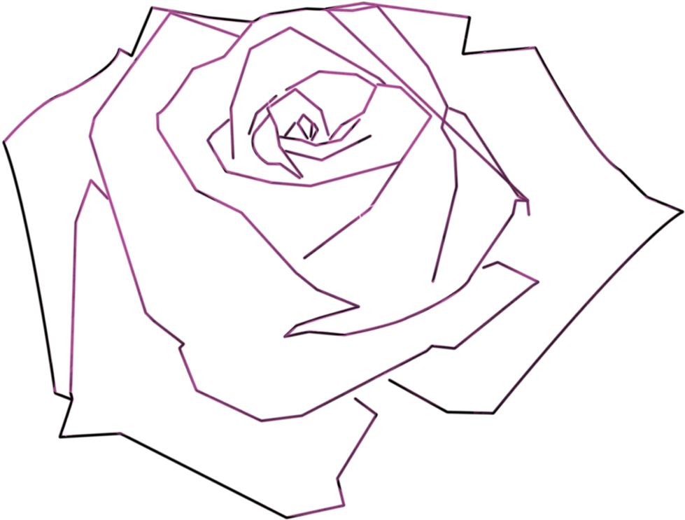 Paper White Sleeve Petal Sketch - Drawing (2067x1058), Png Download