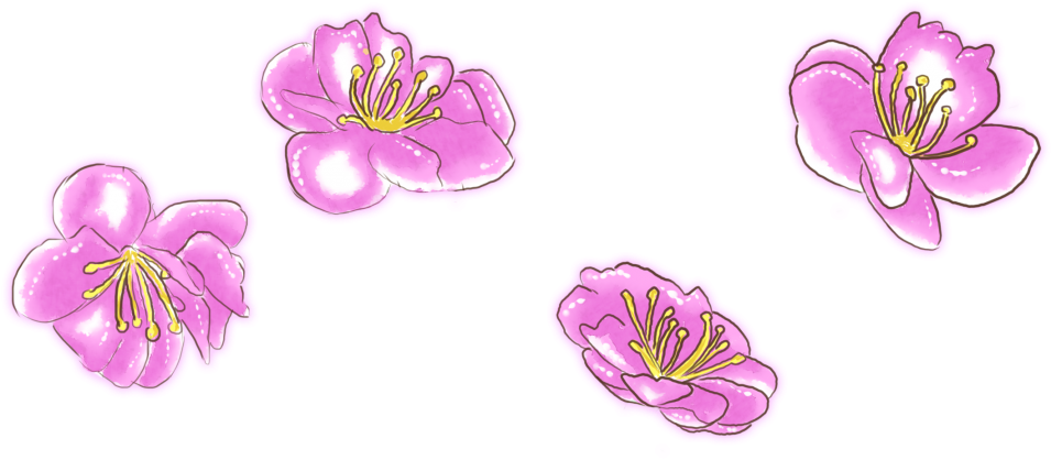 I Have An Art Page But For Some Reason It Seems A Lot - Lily (1024x500), Png Download