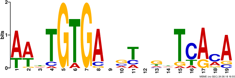 Alphabets Only) Png And Eps Images Files Containing - Sequence Logo (826x294), Png Download