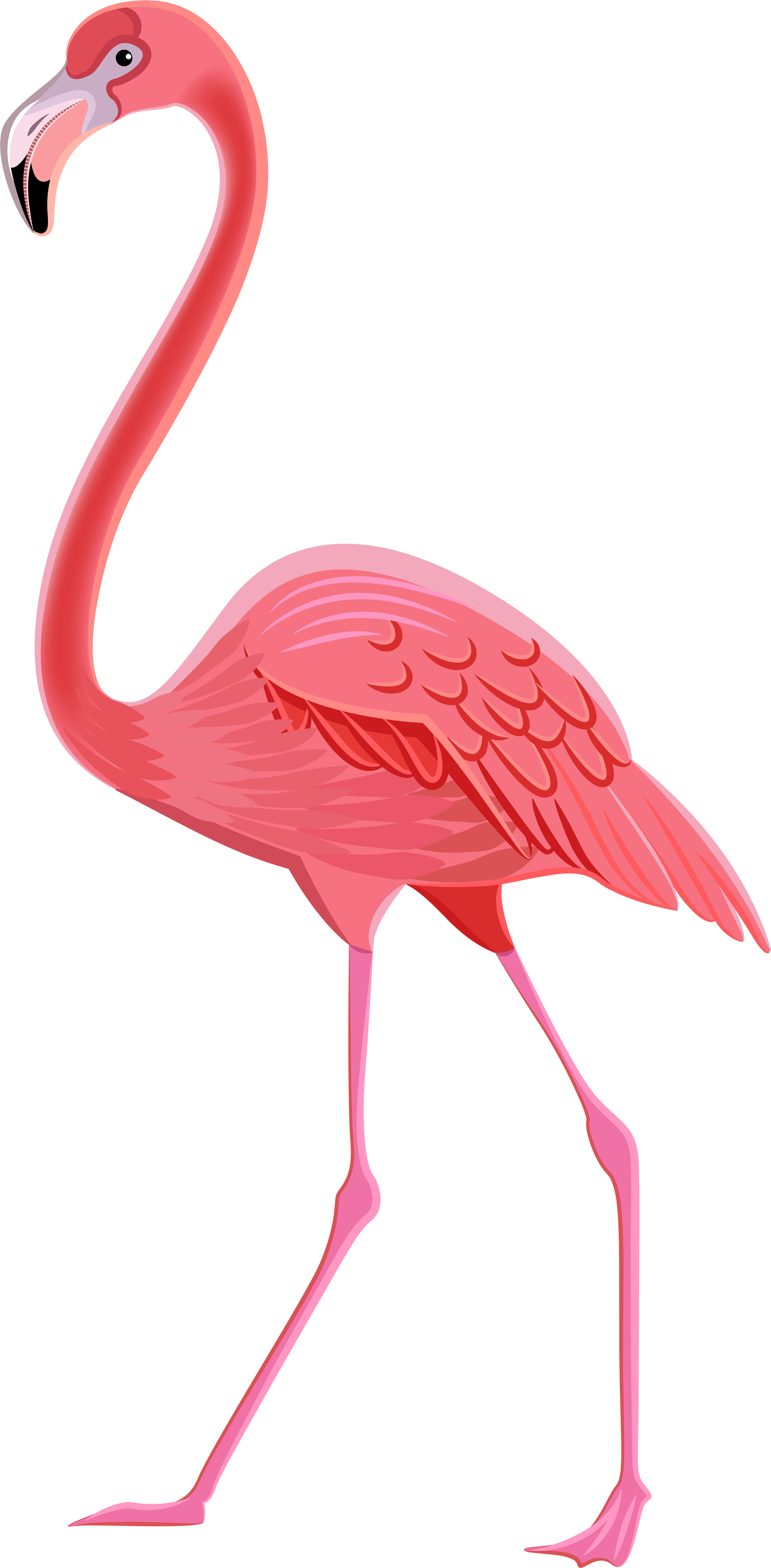 Flamingo Png Transparent Clip Art Image - Transparent Background Flamingo Clipart (3935x8000), Png Download