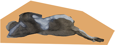 Stallion (404x316), Png Download