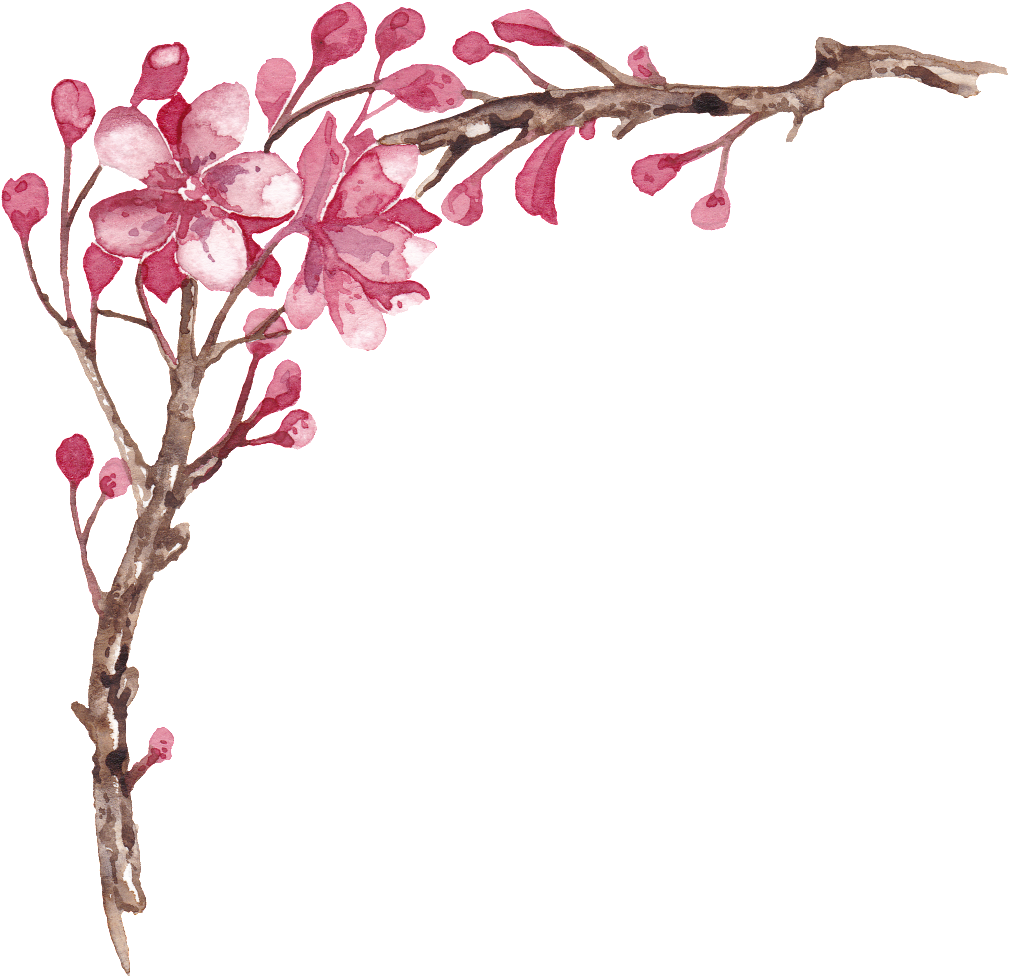Elegante Pintado A Mano Plum Tree Branches Png Transparente - Portable Network Graphics (1024x1448), Png Download