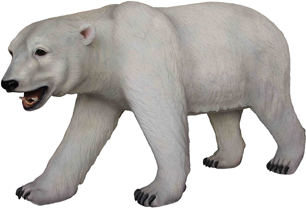 Download Polar Bear Png Transparent Images Transparent - Polar Bear (640x640), Png Download