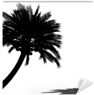 Palm Trees (400x400), Png Download