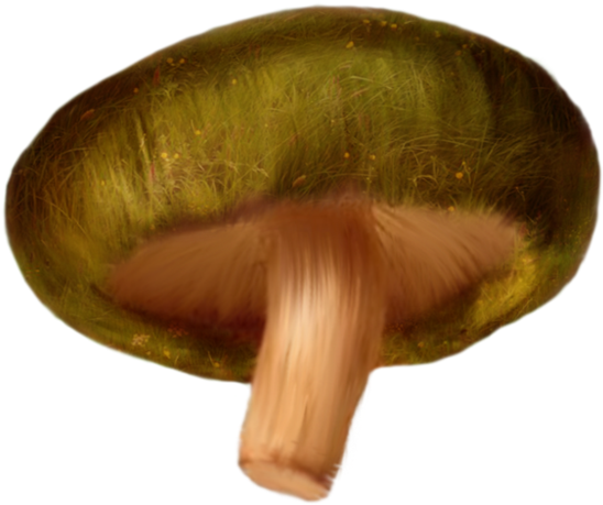 Mushroom Png Clipart - Mushroom Psd (999x799), Png Download