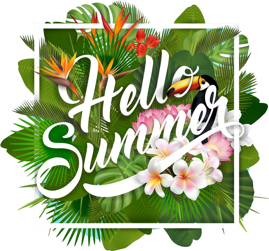Party Free Image Svg Transparent Download - Summer Party Png (1000x1000), Png Download