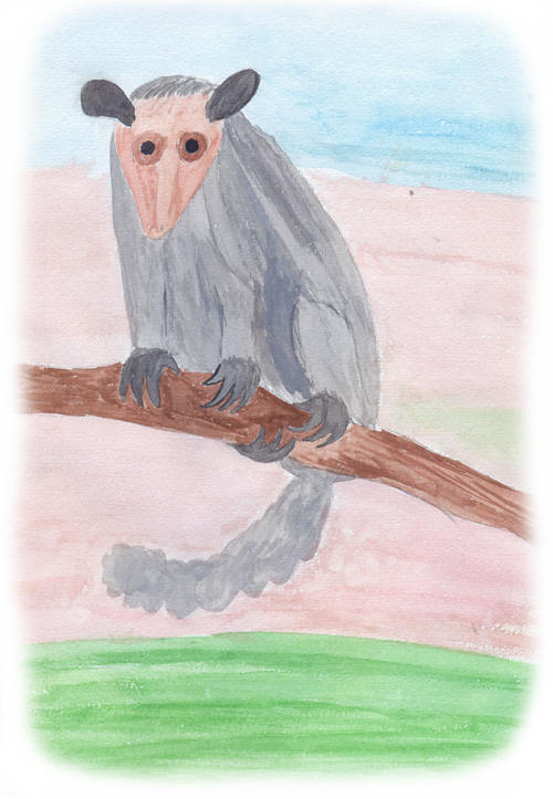 Fuego 01 - Possum (500x723), Png Download