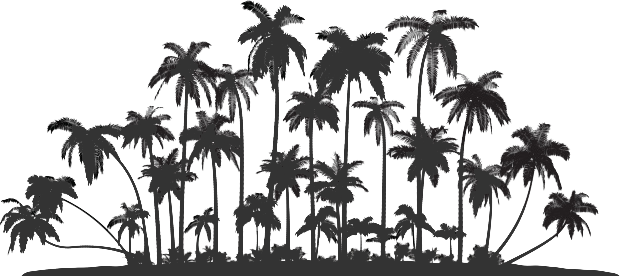 Palm Tree Service Oahu - Palm Trees Silhouette Png (620x276), Png Download