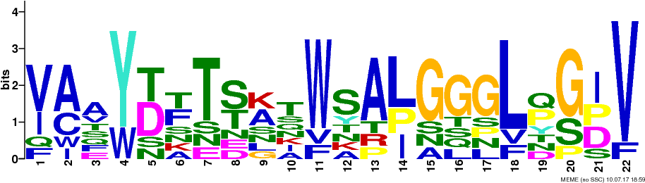 Png Logos Require Convert From Imagemagick (944x294), Png Download