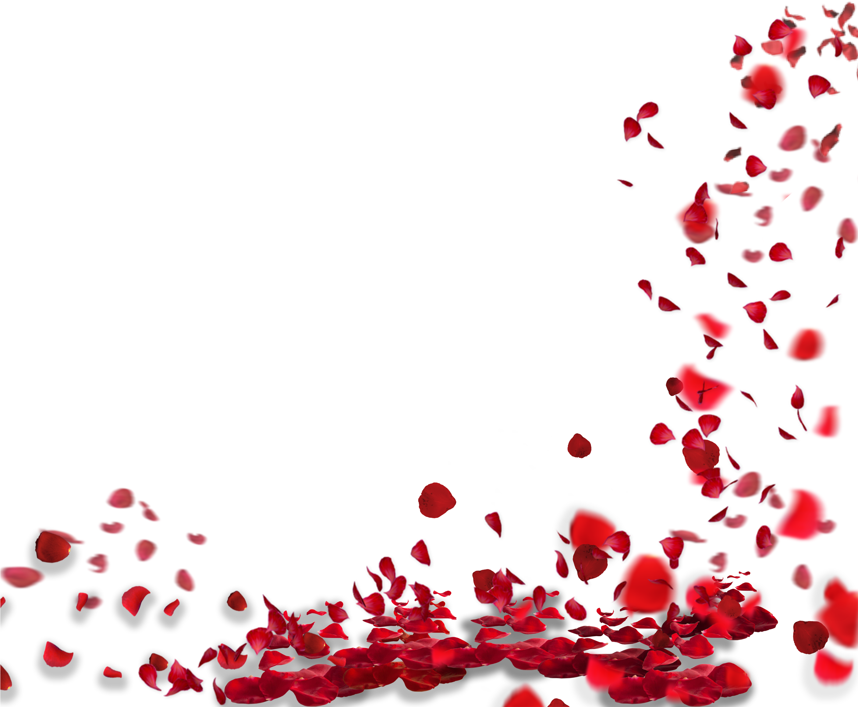 Falling Petals Png - Rose Petals Falling Png (2815x2333), Png Download
