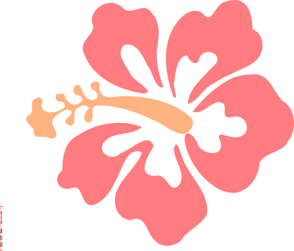 Coral Clipart Coral Flower - Hibiscus Clip Art (600x513), Png Download
