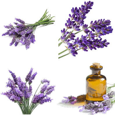 Turn Up Color Treatment April Skin Ingredients (400x400), Png Download