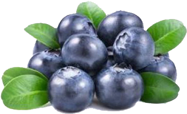 Whortleberry Fruit (900x520), Png Download