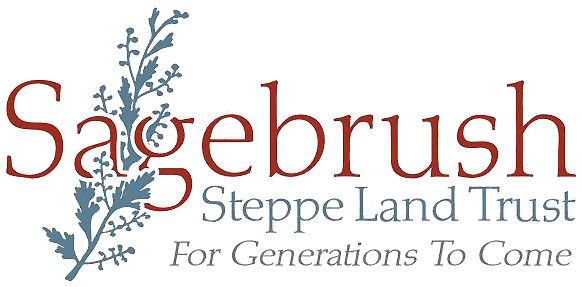 Logo Png Glow - Trafalgar Scientific (582x287), Png Download