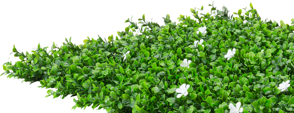 Flower Hedge Png (948x366), Png Download