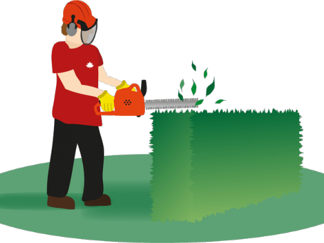 Hedges Clipart Hedge Trimming - Clip Art (640x480), Png Download