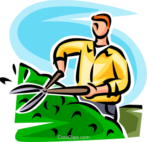 Man Trimming A Hedge Royalty Free Vector Clip Art Illustration - Hedge Trimming Clipart (480x466), Png Download