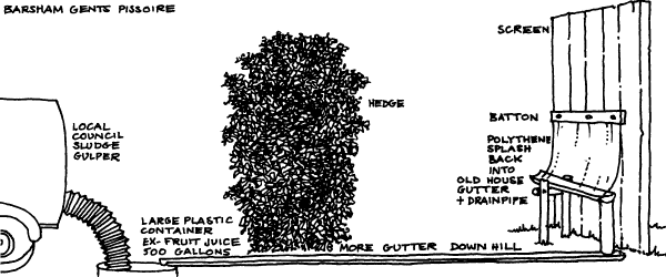 Tree (600x250), Png Download
