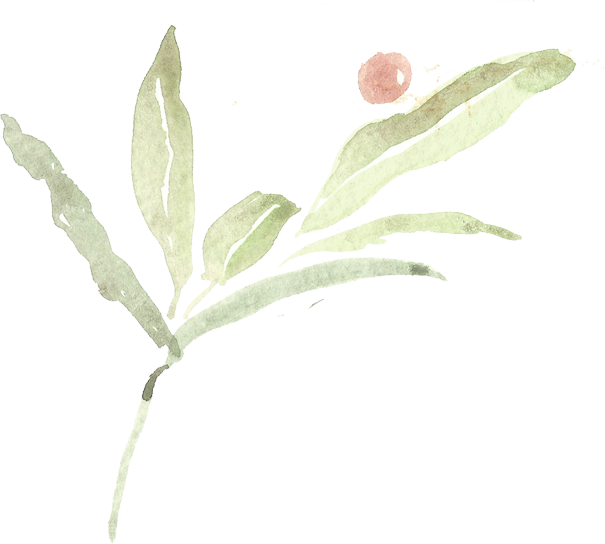 Large Leaves - Portable Network Graphics (605x544), Png Download