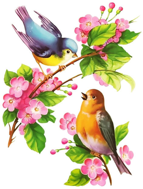 Hum Yaar Hain Tumhare (513x780), Png Download