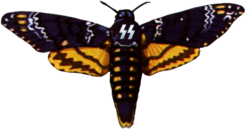 Ss Death Head Moth By Fearoftheblackwolf On Deviantart - Death's Head Hawk Moth (877x497), Png Download