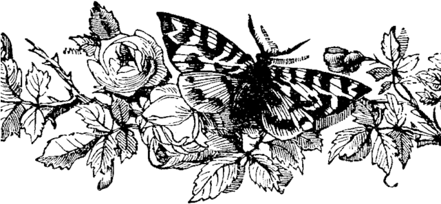 Moth Clipart Tumblr Transparent - Papilio (640x360), Png Download