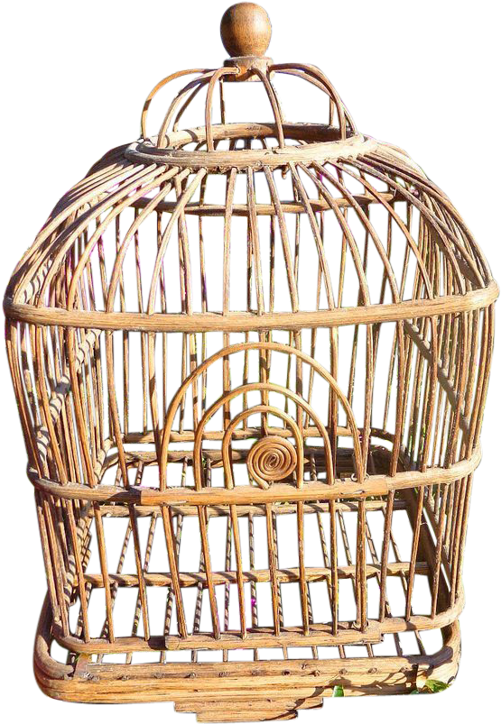 Rare Victorian Period Wicker Wooden Bird Cage Would - Wooden Bird Cage Png (802x802), Png Download