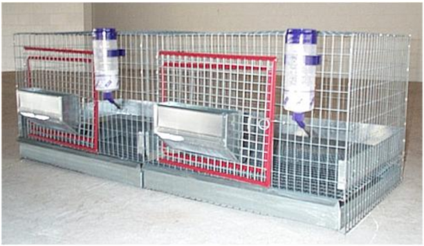 Deluxe 2 Compartment Cage - Cage (639x479), Png Download