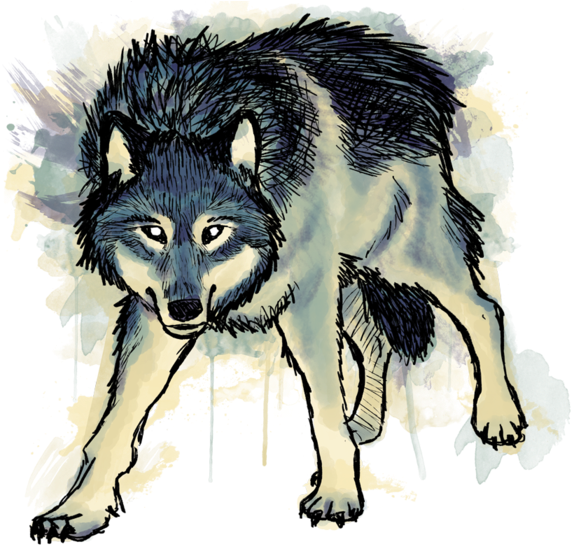 Mackenzie River Husky (700x557), Png Download