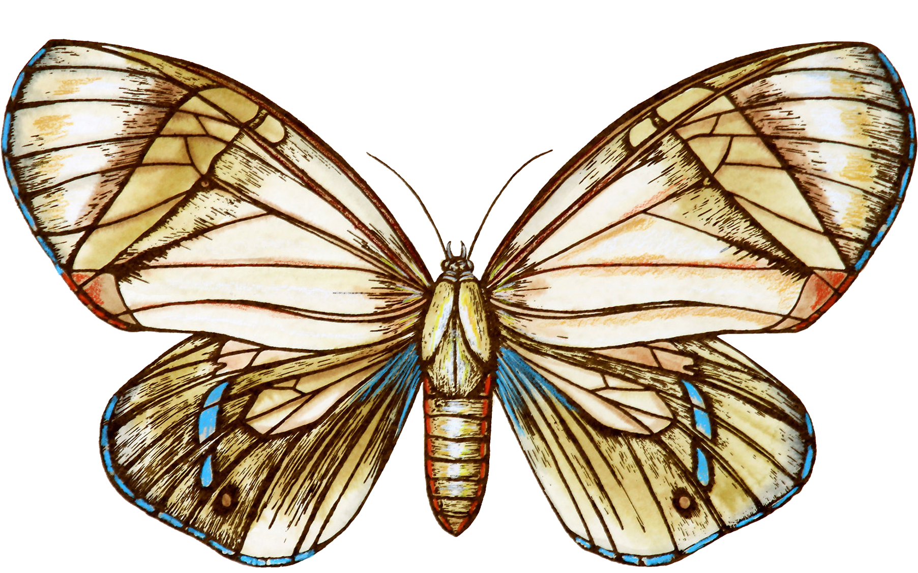 Aporia (1100x679), Png Download