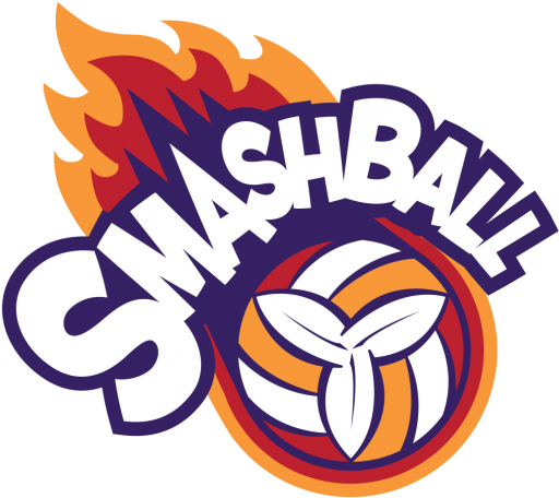 Add Smashball To Your List - Volleyball (540x502), Png Download