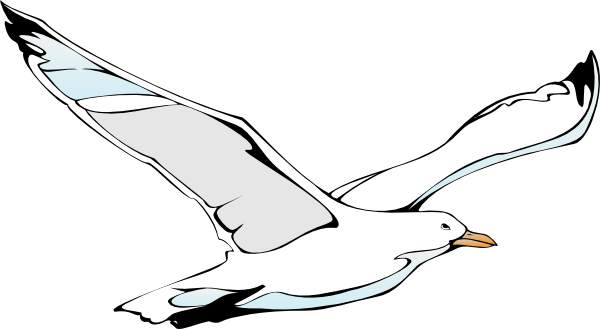 Sea Bird Clipart Flying - Cartoon Seagull Flying Transparent (600x329), Png Download
