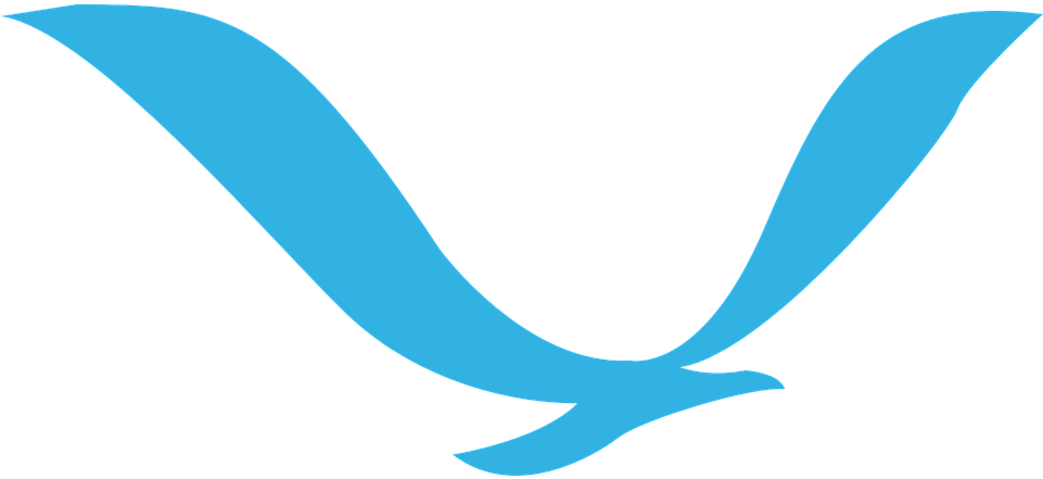 Download Png Image Report - Flying Bird Logo Png (960x480), Png Download