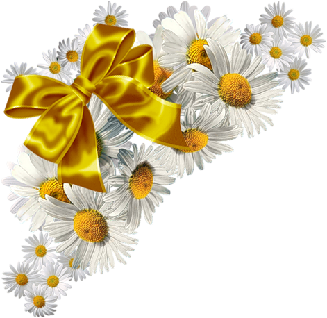 Цветы В Png - .net (500x481), Png Download