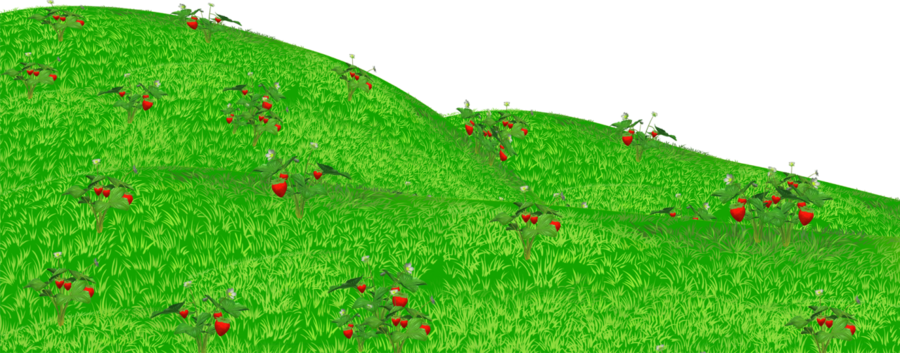 Download Поляна Пнг Clipart Information Clip Art Green - Поляна С Цветами Пнг (900x353), Png Download