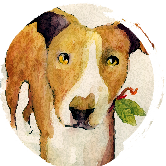 Neither A Flan Nor A Cerel, Her Name Is Flame And Her - Old English Terrier (692x692), Png Download