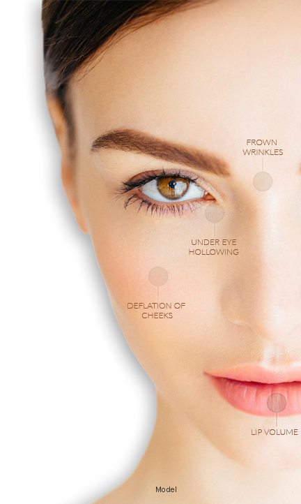Medical, Surgical & Cosmetic Dermatology Medical, Surgical - Dermatology (432x722), Png Download